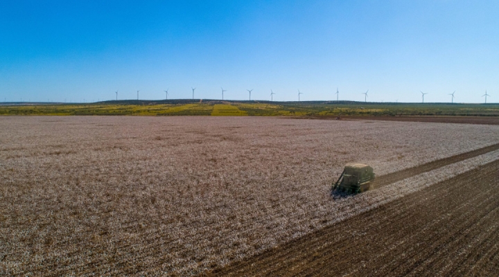 https://canonizer.com/files/agriculture.jpg